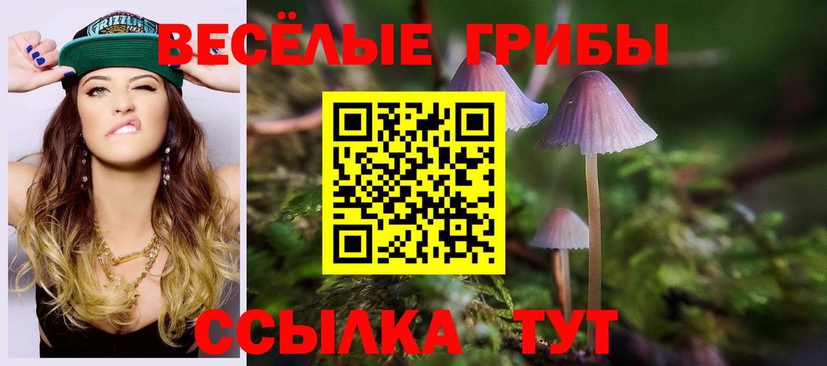 Псилоцибиновые грибы MAGIC MUSHROOMS  Вход с VPN  Салехард 